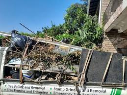Best Shed Removal  in Three Rivers, TX